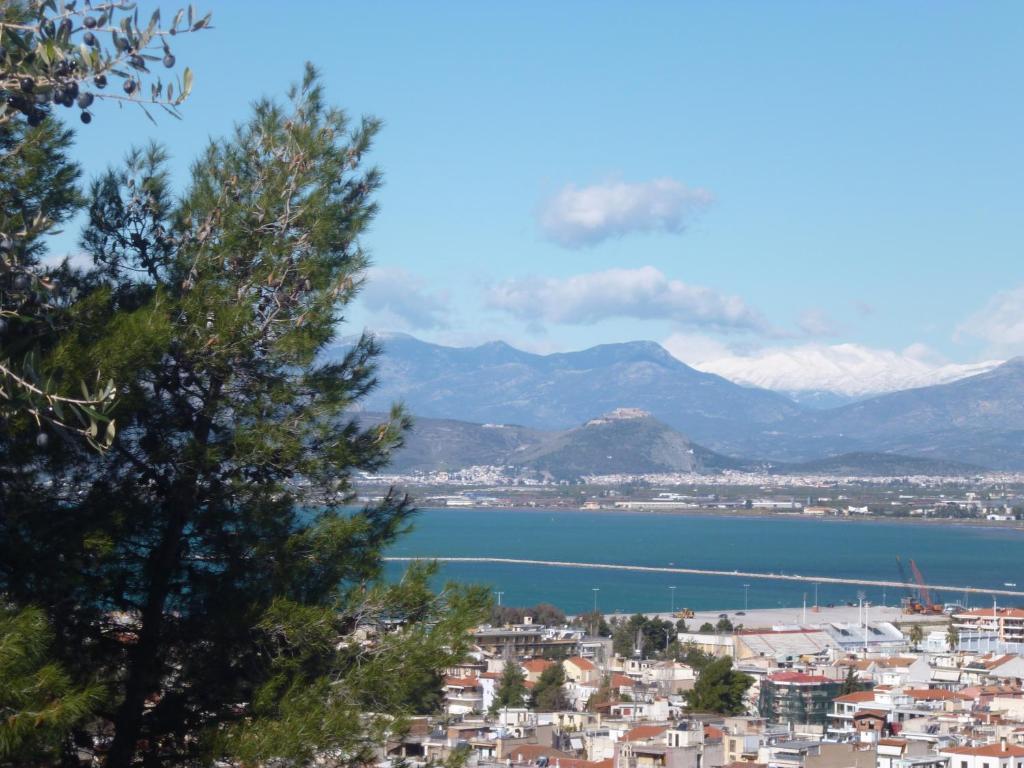 Hotel Vasilis Nafplio Zimmer foto